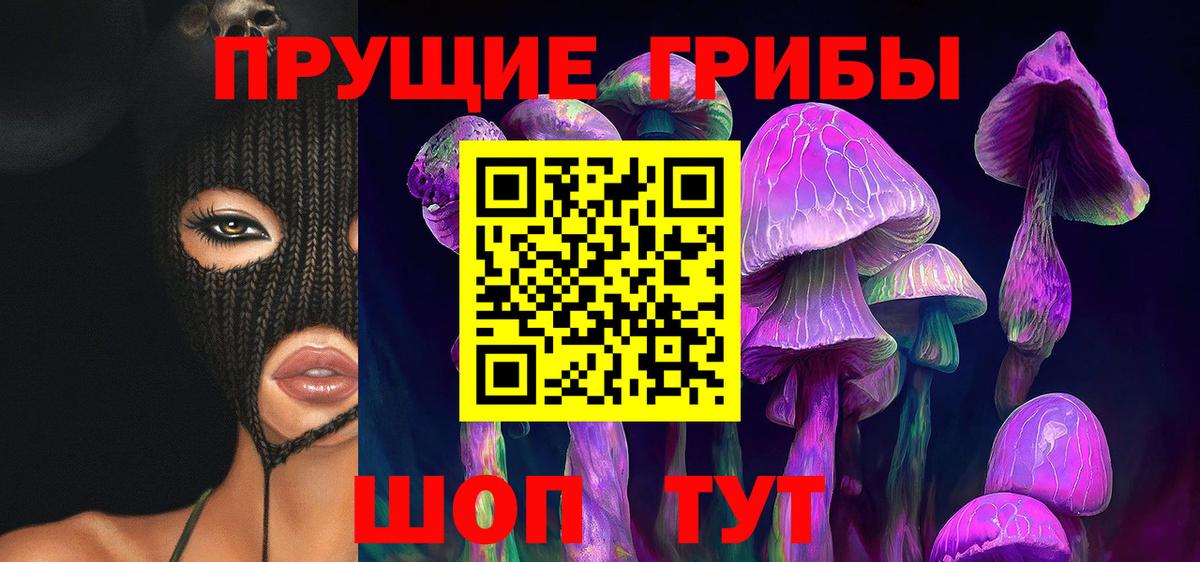 Кинель  Псилоцибиновые грибы прущие грибы  купить  сайты  Вход с VPN  Галлюциногенные грибы прущие грибы 